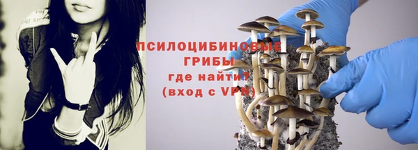 винт Алексин