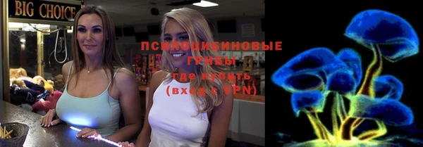 ECSTASY Алзамай